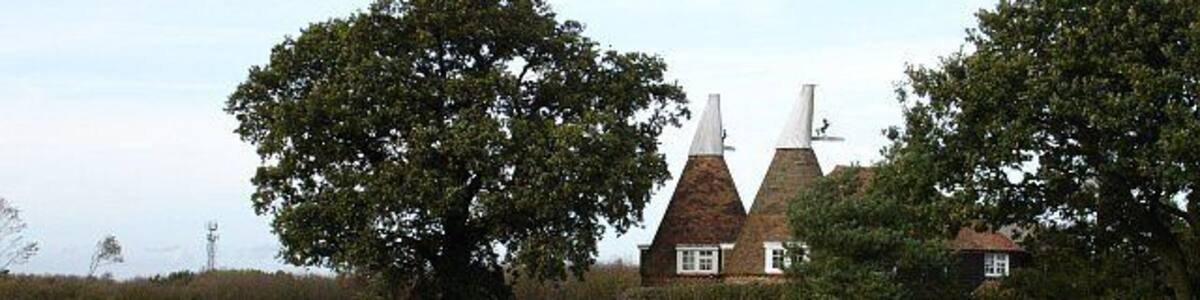 Oasts at Tillman Gate Farm. Converted, as most have been, for residential use. The crop looks like winter wheat.
