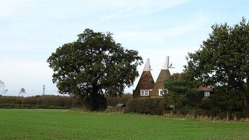 Oasts at Tillman Gate Farm. Converted, as most have been, for residential use. The crop looks like winter wheat.