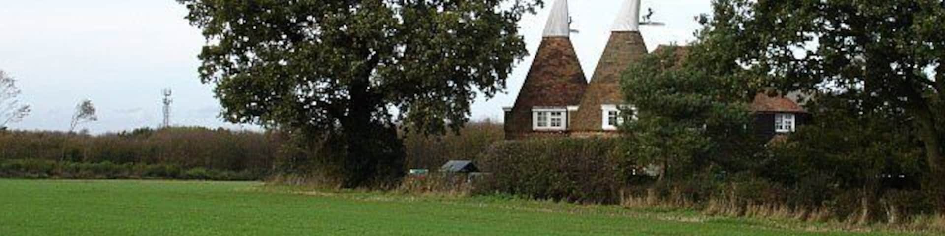 Oasts at Tillman Gate Farm. Converted, as most have been, for residential use. The crop looks like winter wheat.