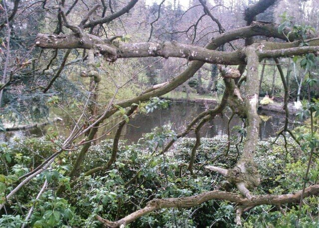 Lower Mill Pool, Cuddington. Mill pool, now disused and landscaped, formerly serving Lower Mill, off Cuddington Lane. Viewed from public footpath between Warrington Road and 163153.