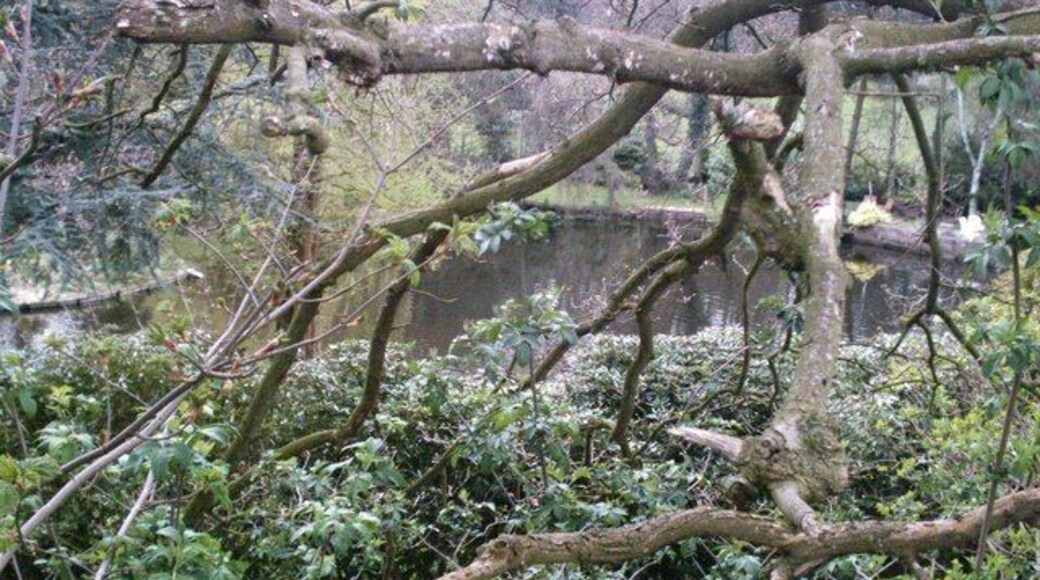 Lower Mill Pool, Cuddington. Mill pool, now disused and landscaped, formerly serving Lower Mill, off Cuddington Lane. Viewed from public footpath between Warrington Road and 163153.