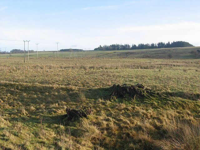 Rough land, Madrissa. East of the A701, which bisects the square. Wet farmland sloping up to about 300m. Tree stumps confirm the 1940s mapping, there were small shelterbelt woodlands here then.