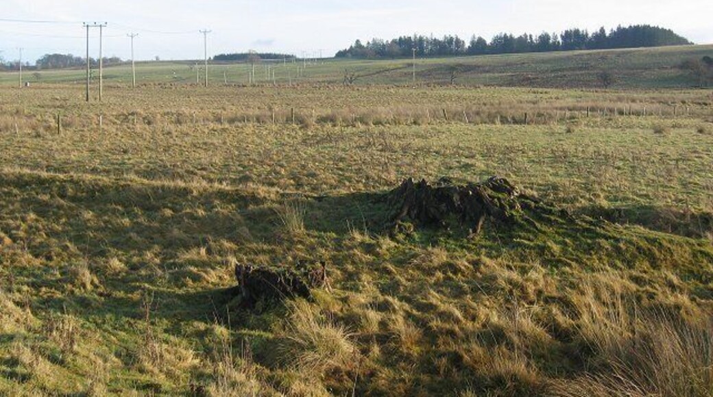 Rough land, Madrissa. East of the A701, which bisects the square. Wet farmland sloping up to about 300m. Tree stumps confirm the 1940s mapping, there were small shelterbelt woodlands here then.