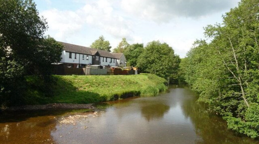 Uffculme : River Culm
