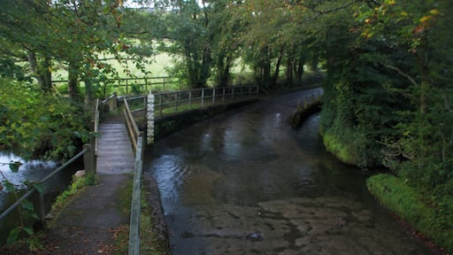 Ford at Hayne Cross, Bodmiscombe