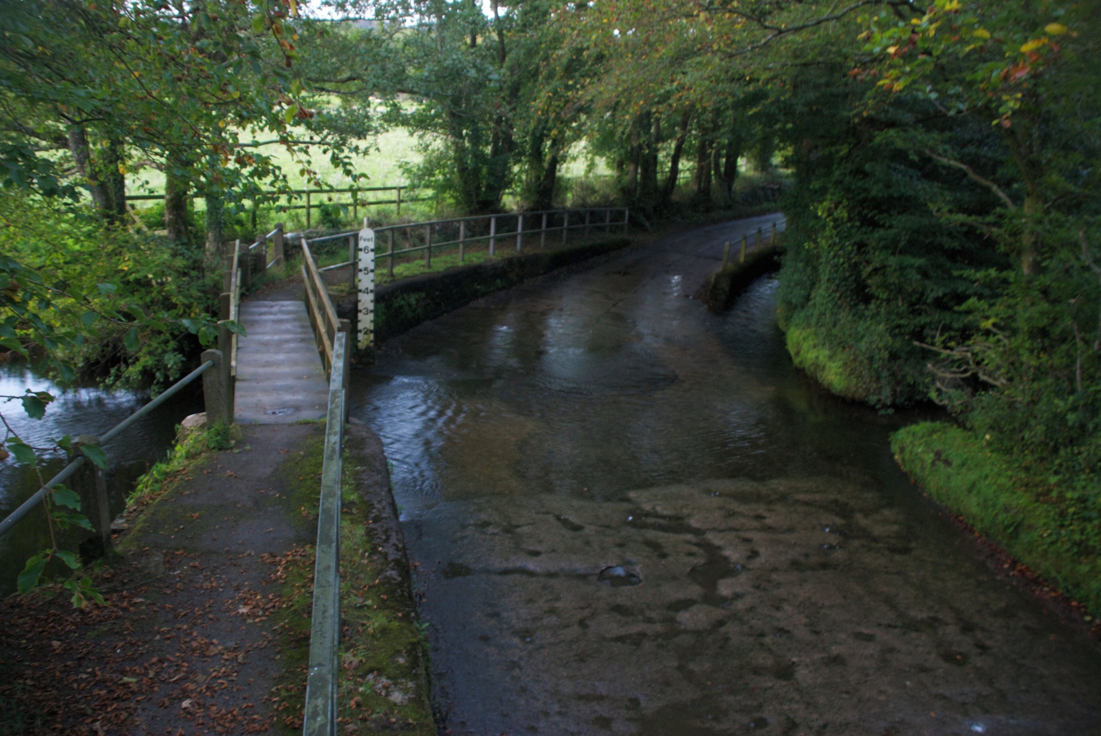 A narrow, wet path beside a small stream, surrounded by dense foliage and a wooden bridge.