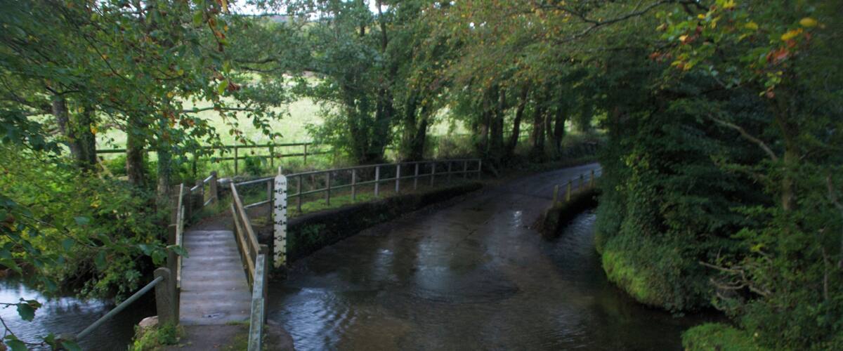 A narrow, wet path beside a small stream, surrounded by dense foliage and a wooden bridge.