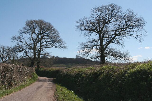Uffculme: towards Hackpen Hill. The lane east from Northcott, looking east