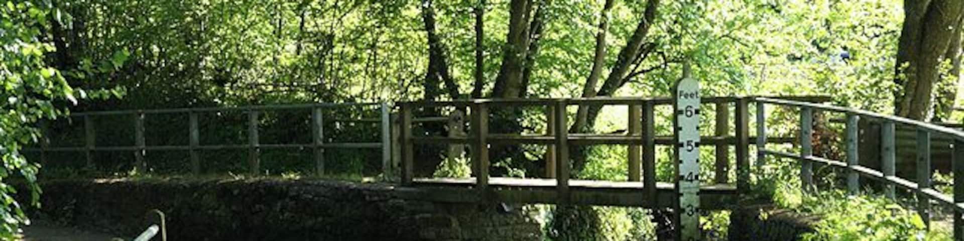 Uffculme: ford by Hayne Cross. Ford with footbridge and flood depth pillar. Looking south west