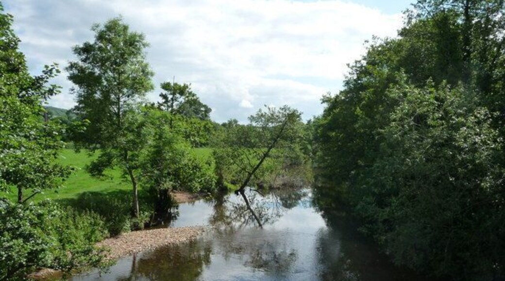 Uffculme : River Culm