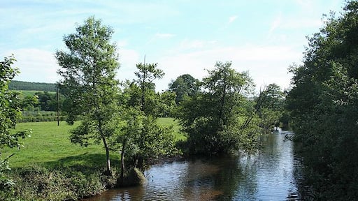 Uffculme: the river Culm Below the bridge in Bridge Street. The Culm rises on the Blackdowns and meets the Exe below Stoke Canon