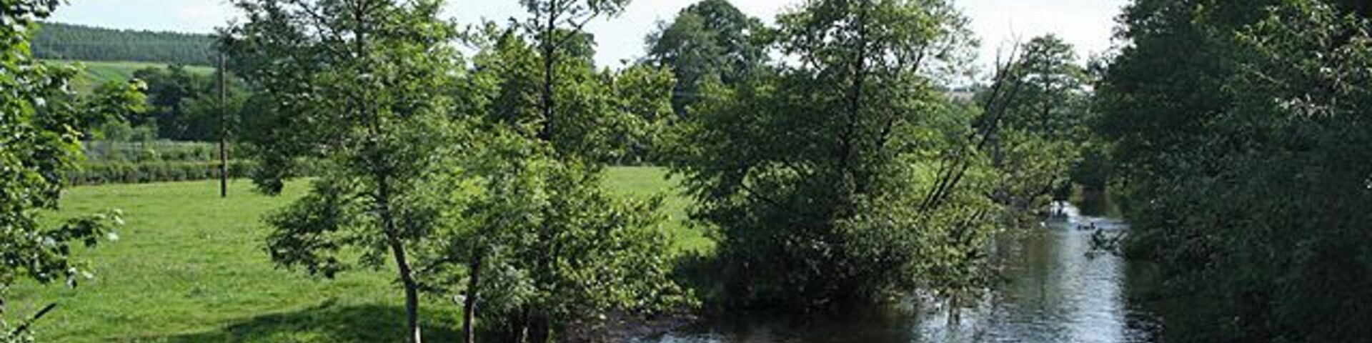 Uffculme: the river Culm Below the bridge in Bridge Street. The Culm rises on the Blackdowns and meets the Exe below Stoke Canon