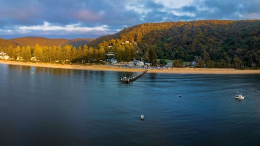 Patonga
