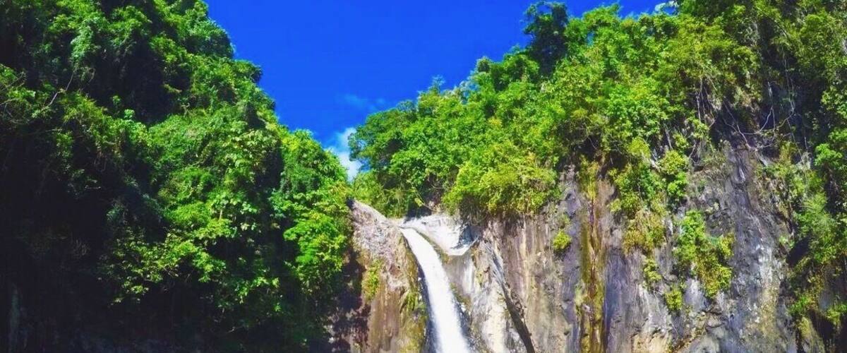 A waterfall in a forested area with clear water and rocks.