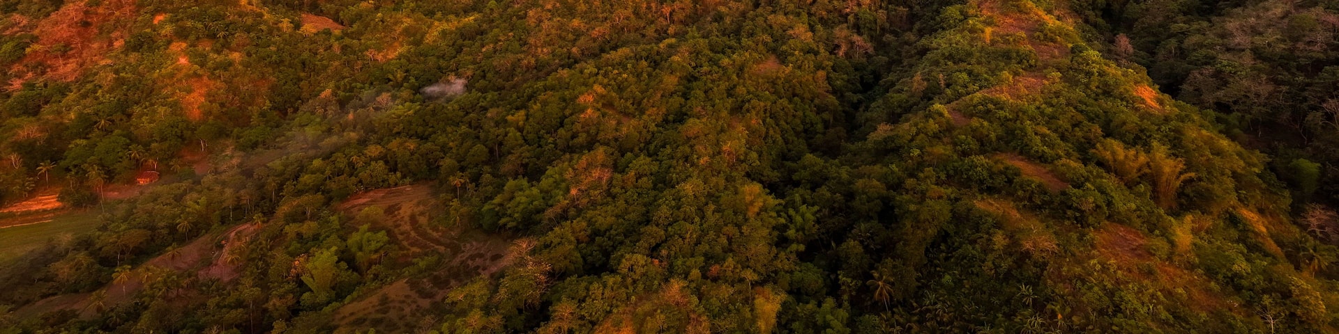 A mountainous landscape with dense forestation and a sunset sky.