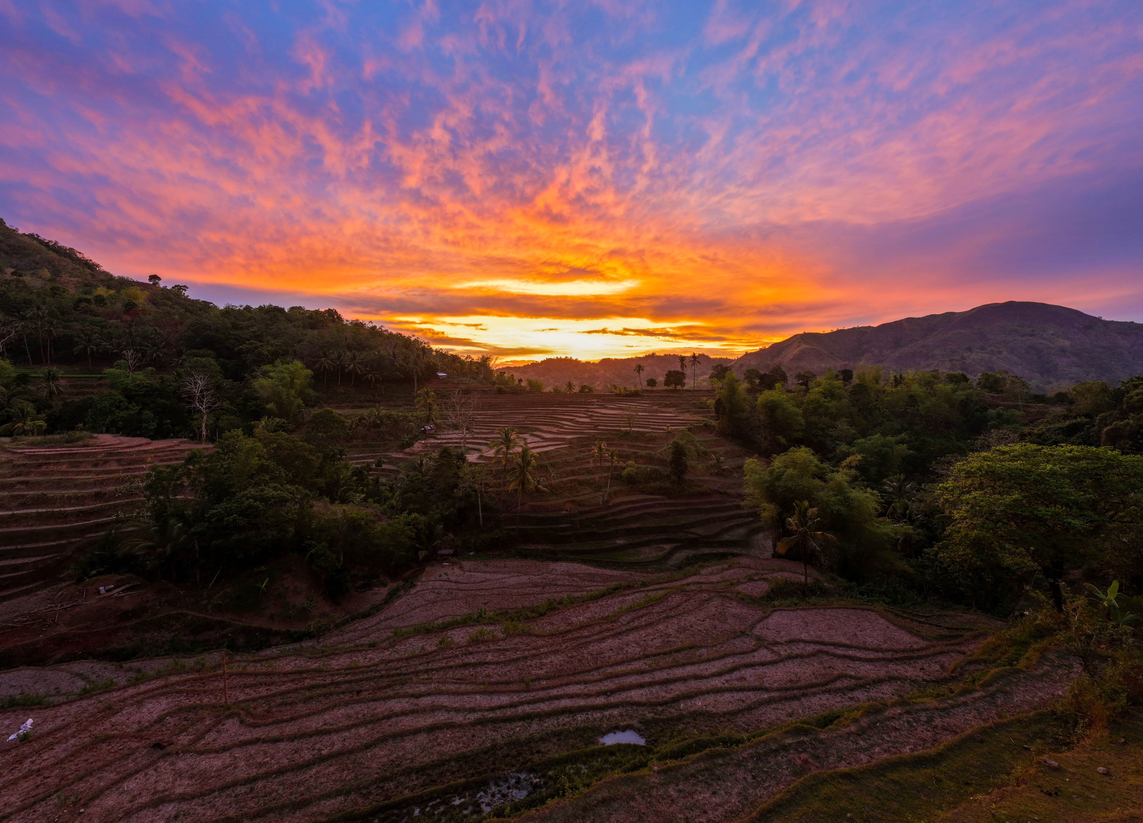 Terraced rice fields, a sunset, and a mountainous landscape.