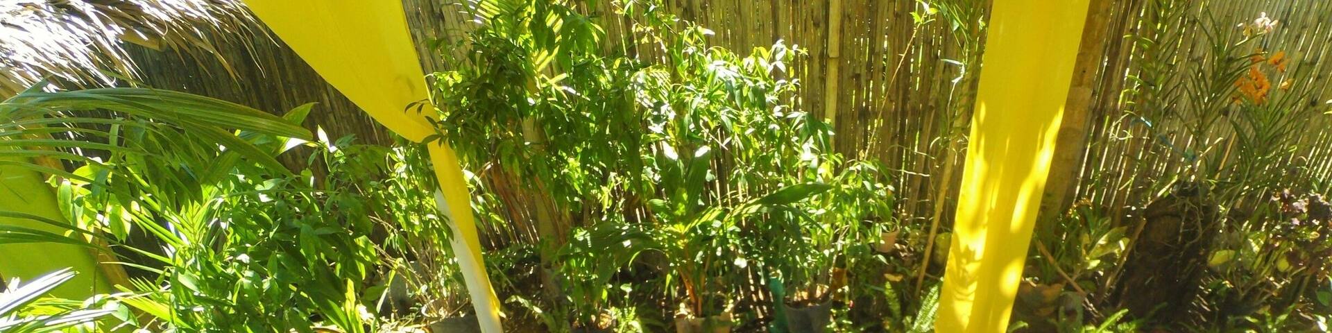 The famous "Kawa Bath" in Tibiao. #choosephilippines #Antique