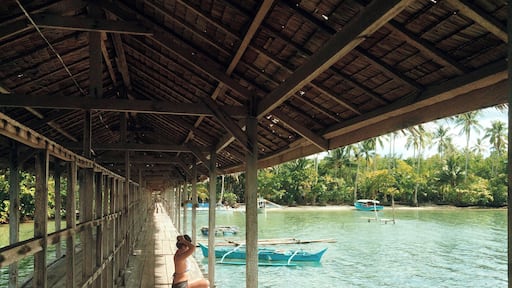 This long dock leads to the resort and passes over mangroves on the island. It's perfect to just sit and enjoy the sunshine. #BeachTips
More photos, a guide, and tips for this destination here:
http://artbeatsmath.com/surigao-siargao