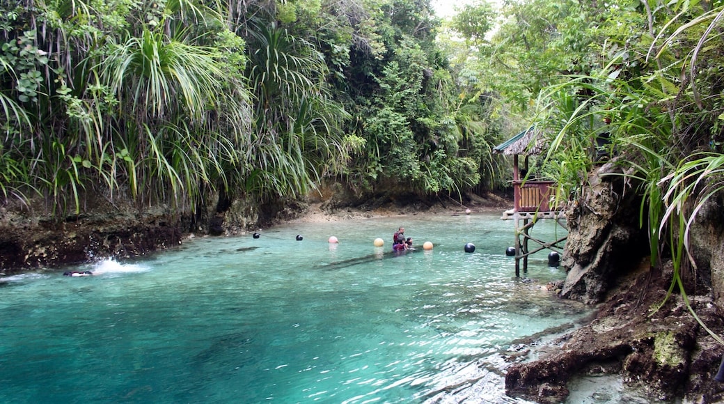 It's really an amazing river. Big fishes and clear water. Greatest God creation.