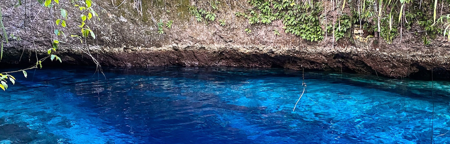 Piscina azul límpida rodeada por vegetação exuberante.