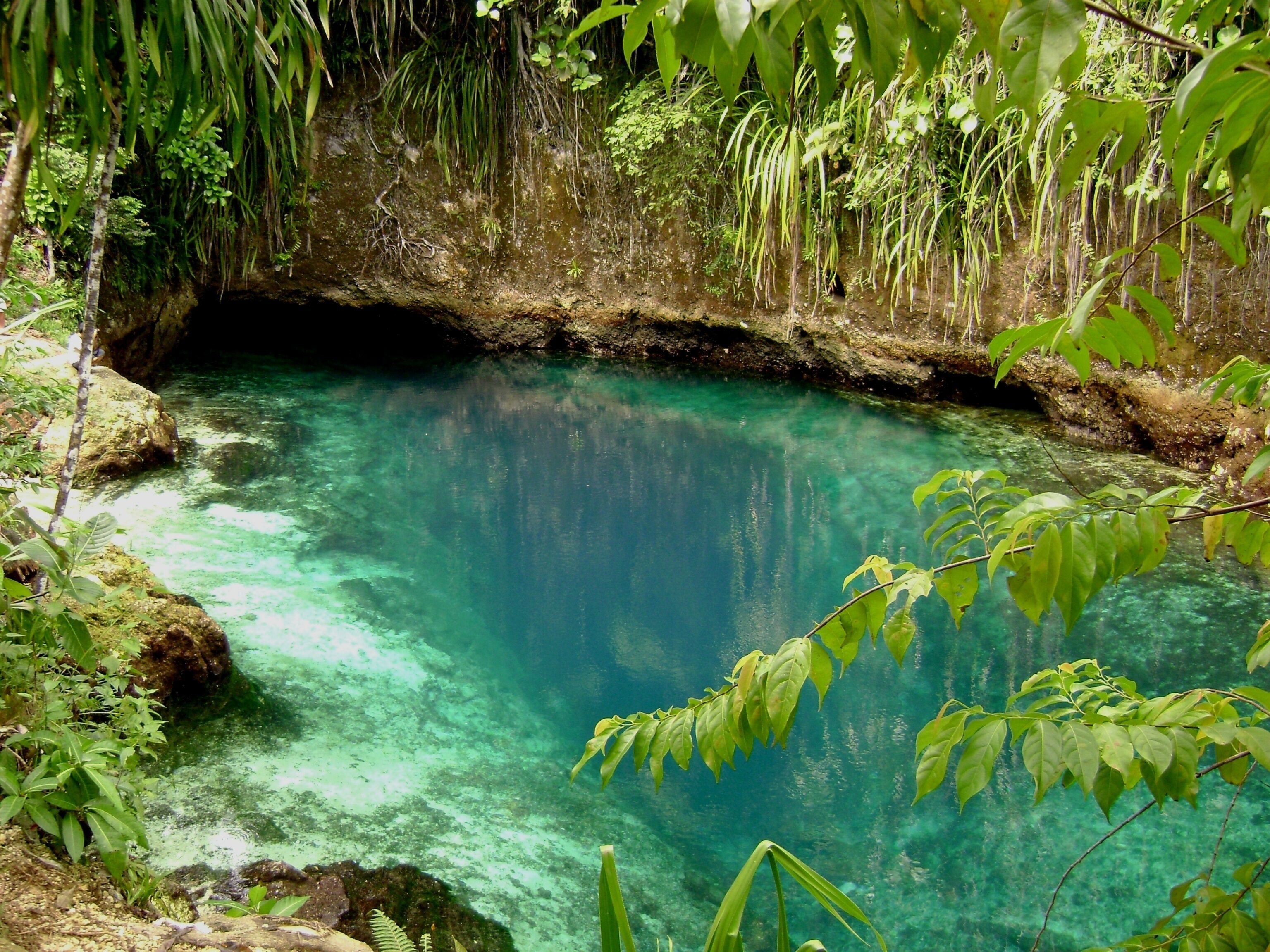 A clear, turquoise pool surrounded by lush greenery and rocky terrain.