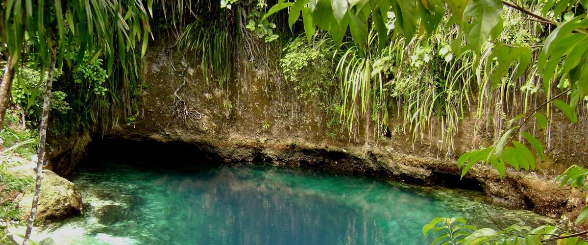A clear, turquoise pool surrounded by lush greenery and rocky terrain.