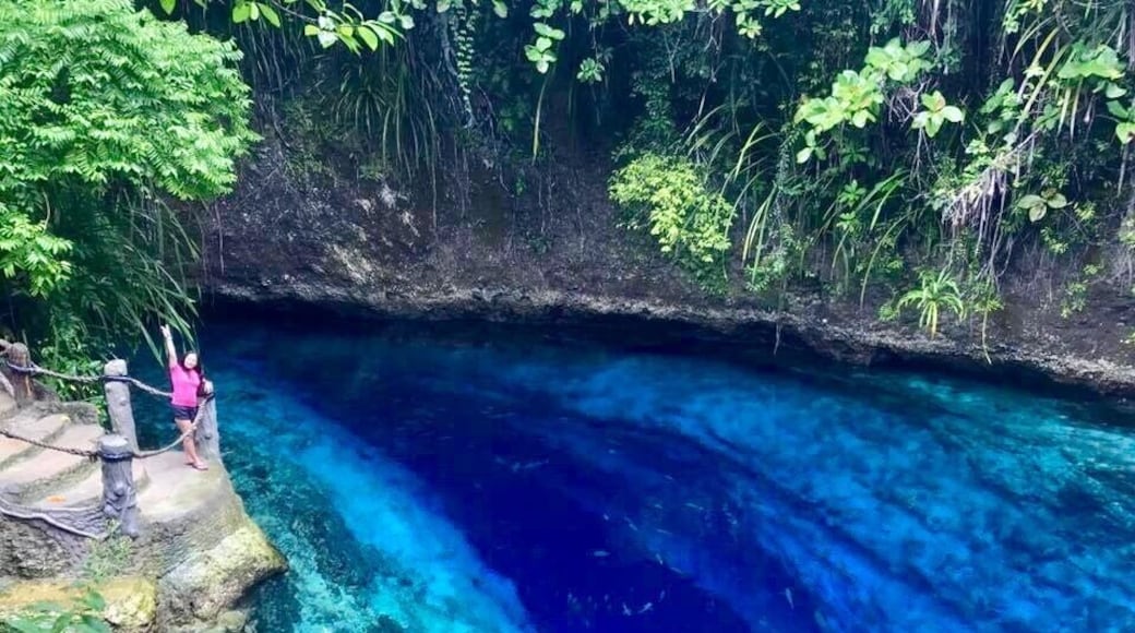 The Hinatuan Enchanted River in Mindanao, Philippines, is a flawless saltwater river that flows into the Pacific Ocean. It is around 80-feet deep, and just barely long enough to be considered a river, yet the flow attracts visitors from around the world who want to experience the beautiful waters that locals have long thought to be miraculous.
#BVSBlue
#river#bluetravel #greentravel#Surigaodelaurphilippimes