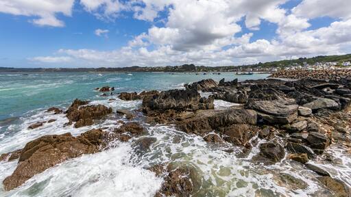 Trédrez-Locquémeau