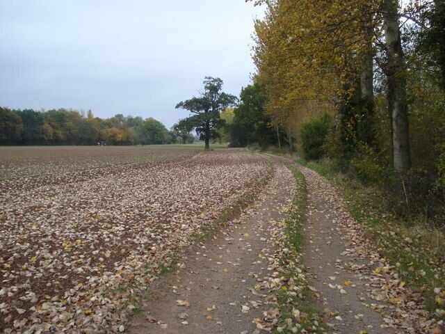 Track to Sherridge House Mainly arable land here with a whole range of autumn colours.