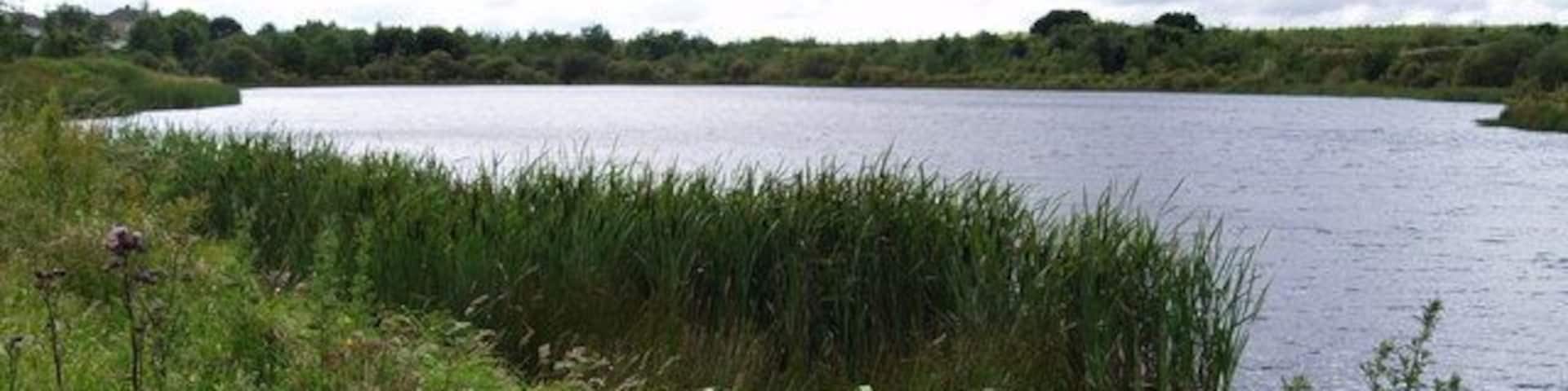 Pond taken from Little Lane
