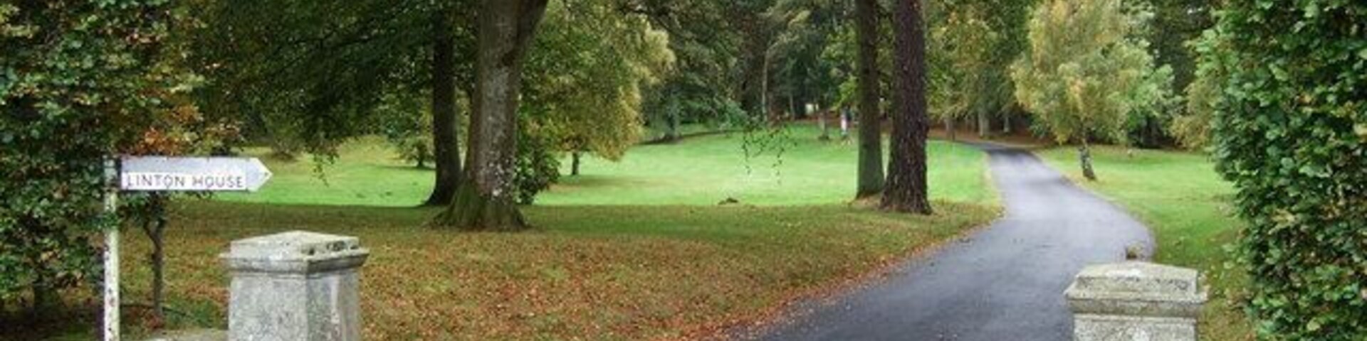 Uma estrada pavimentada que leva até à Casa Linton, rodeada por árvores e relva.