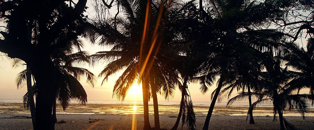 A beach with palm trees and the sun setting over the ocean.