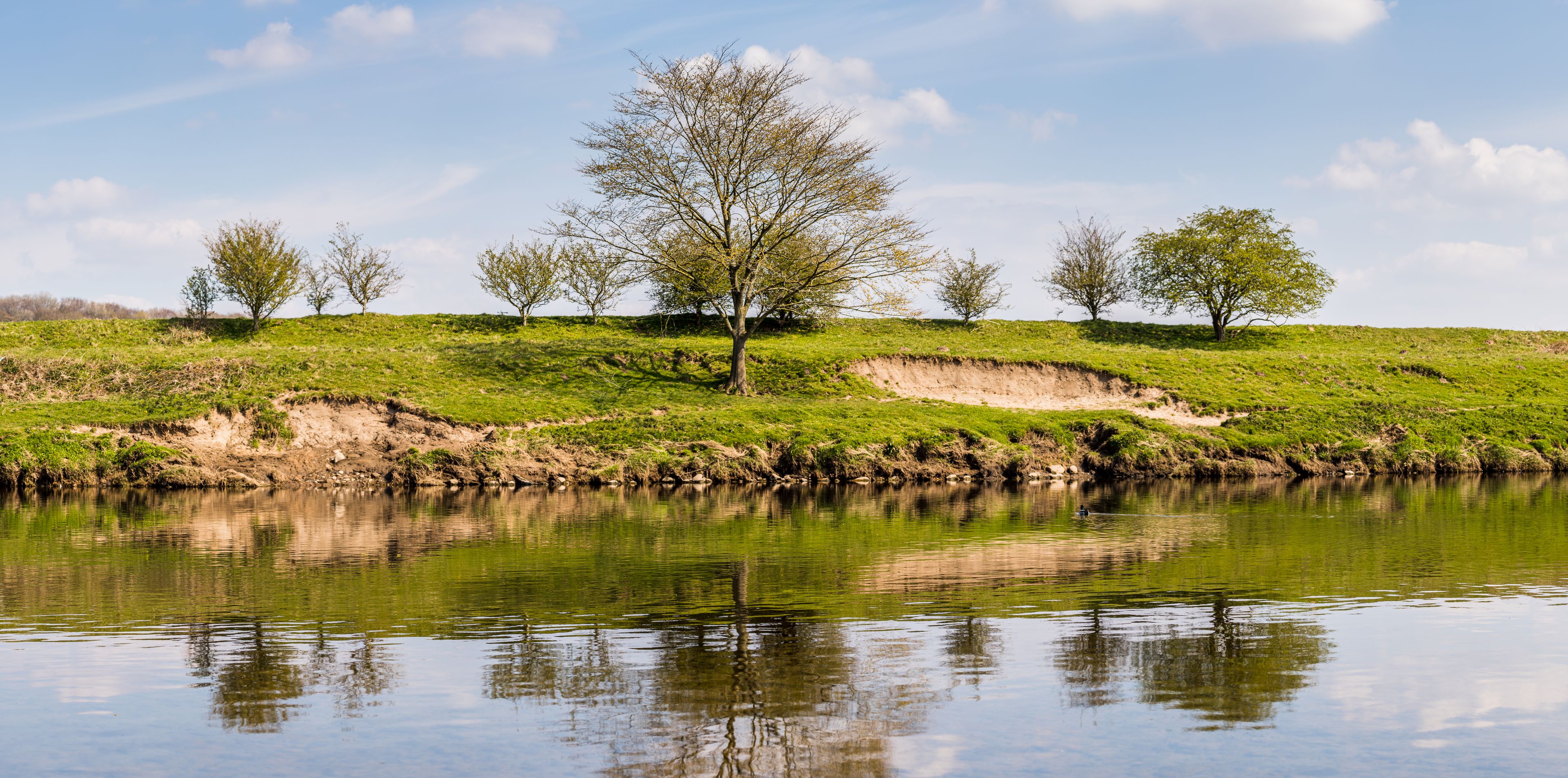 A calm river reflecting trees and a grassy hill.