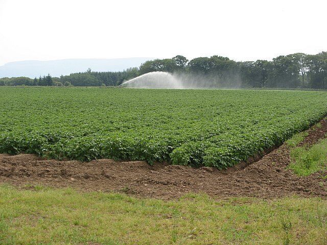 Farmland, Lethangie Irrigating a potato field.