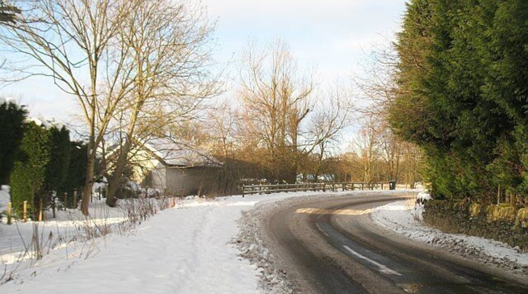 Link to the Old Perth Road Road between the Old and New Perth Roads. The Old Perth Road was realigned as part of the M90(within earshot) construction.