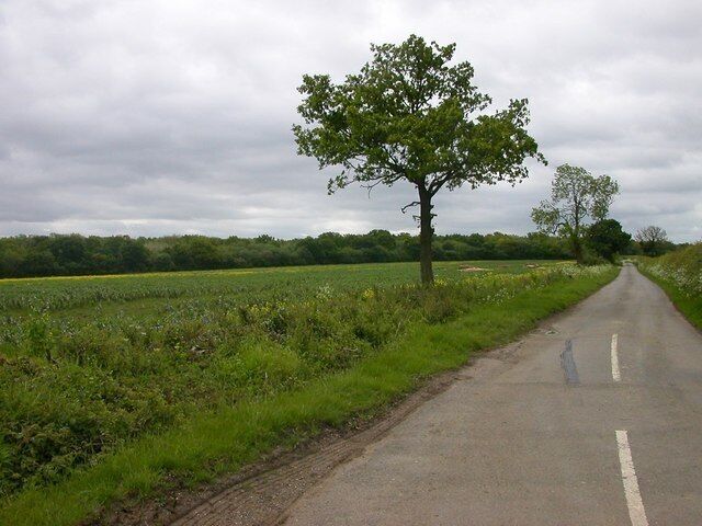 Lillingstone Lovell The Road towards Leckhampstead Wood.