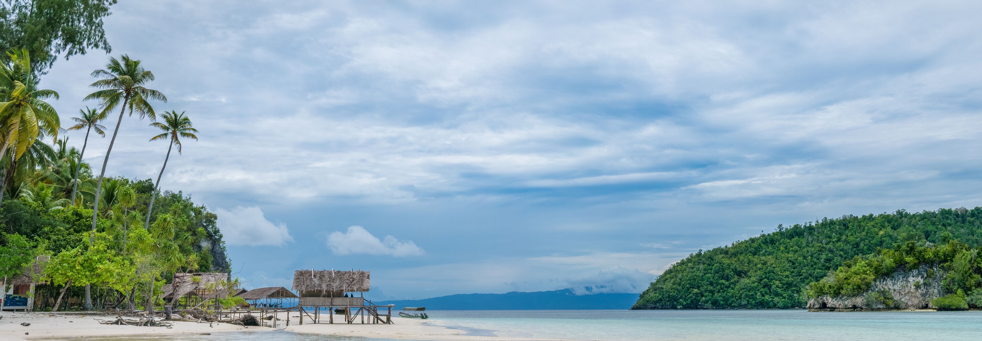 A tropical beach with palm trees, thatched-roof huts, and a clear sky.