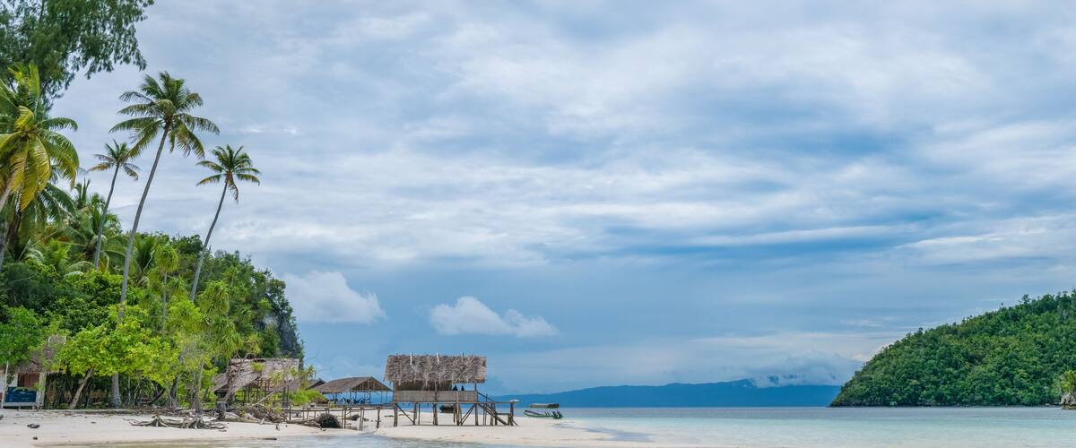 A tropical beach with palm trees, thatched-roof huts, and a clear sky.