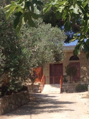Beautiful old lebanese house surrounding by olive and fruit trees