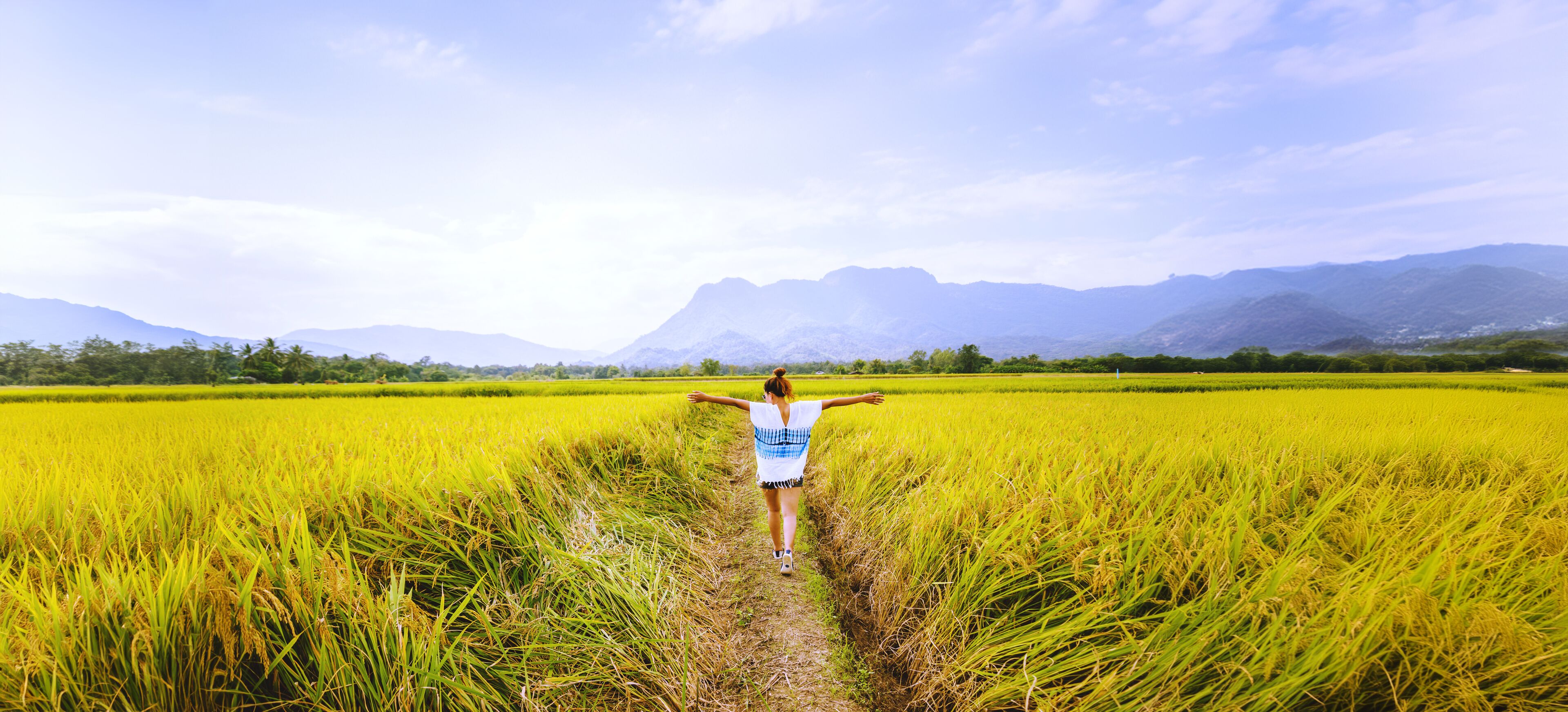 อําเภอหล่มสัก