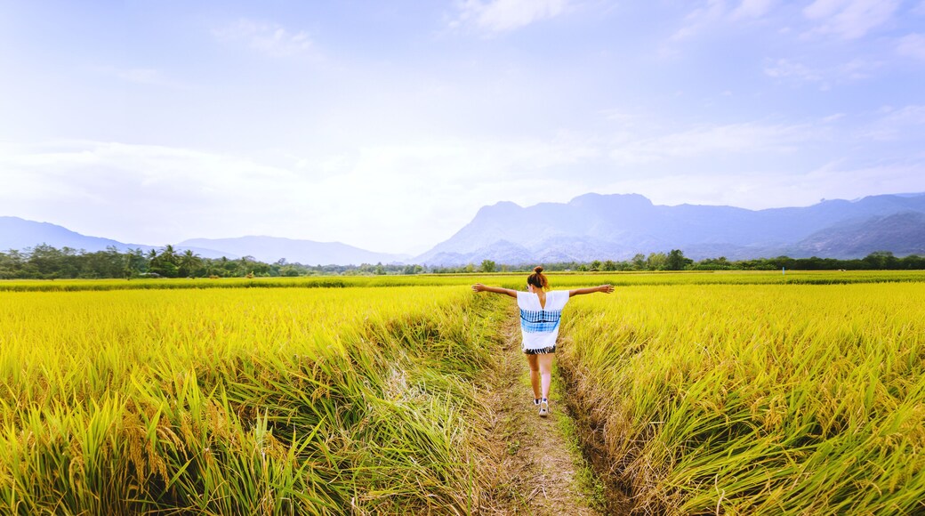 อําเภอหล่มสัก