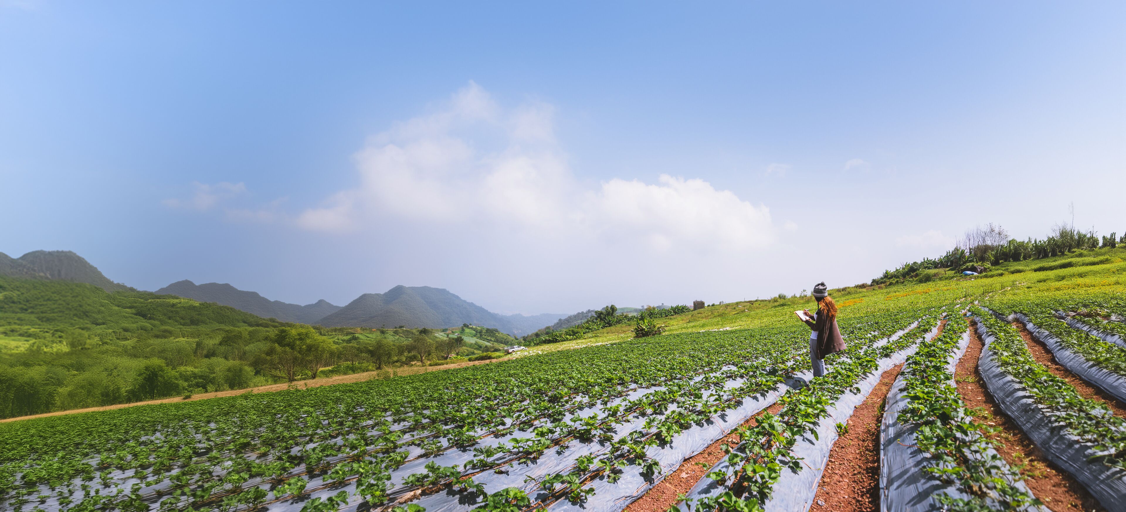 อําเภอหล่มสัก