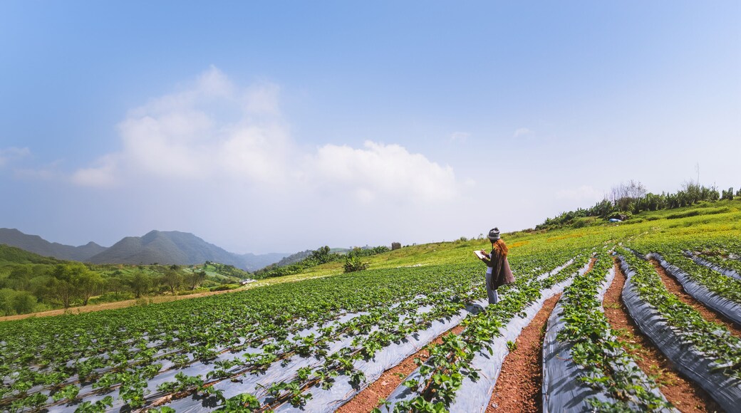 อําเภอหล่มสัก