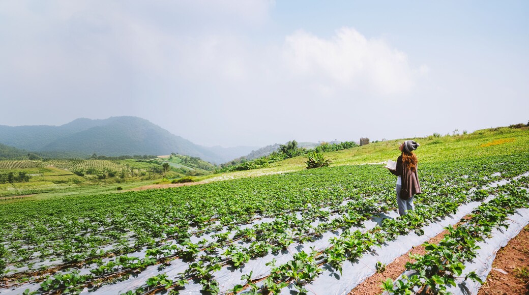 อําเภอหล่มสัก