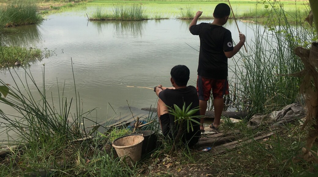 #LikeALocal .... small village life in phetchabun province Thailand, foraging and gathering food is the lifestyle here, picture of my brother in law and son in law fishing the rice patties on their farm.