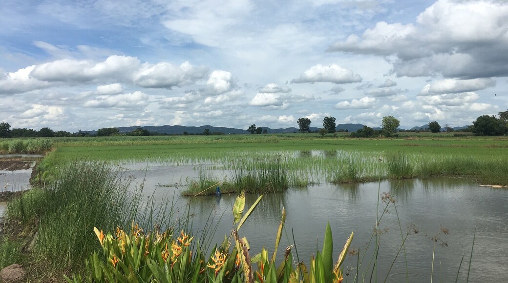 #OrbitzTravel ... farm in phetchabun province Thailand