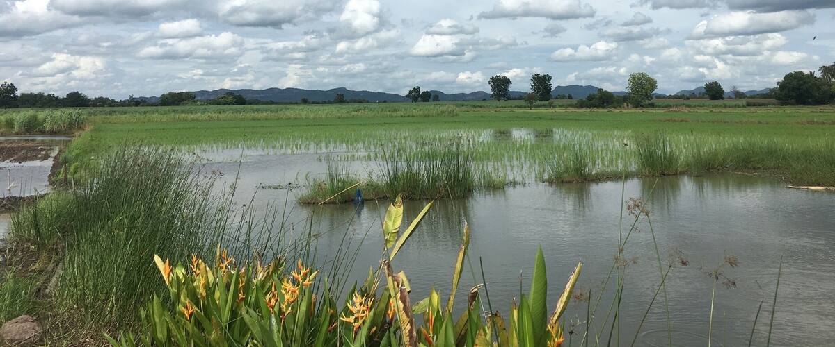 #OrbitzTravel ... farm in phetchabun province Thailand