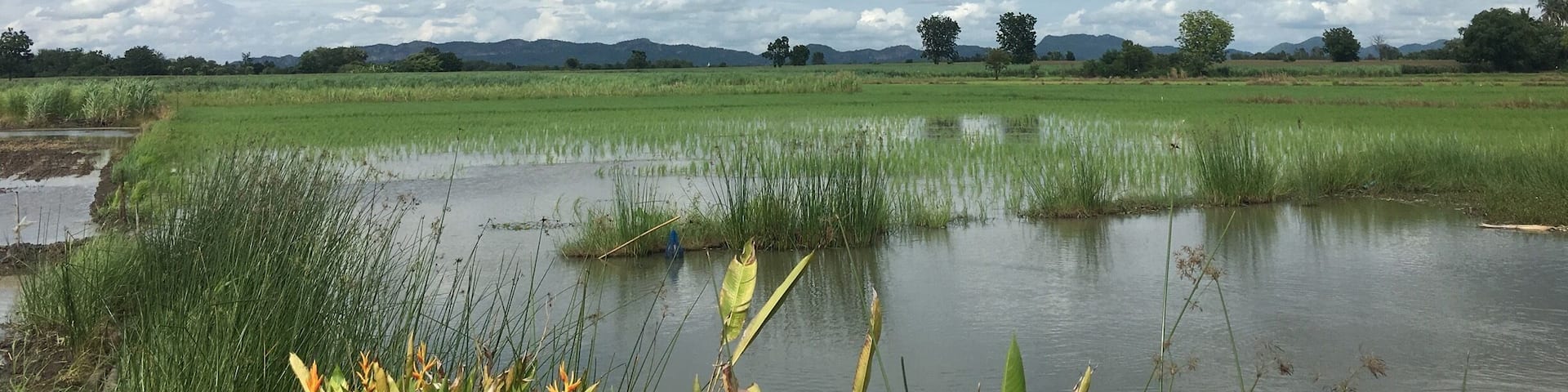 #OrbitzTravel ... farm in phetchabun province Thailand