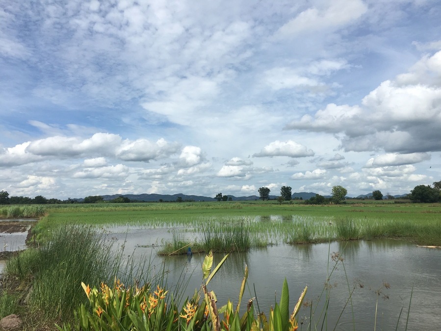#OrbitzTravel ... farm in phetchabun province Thailand