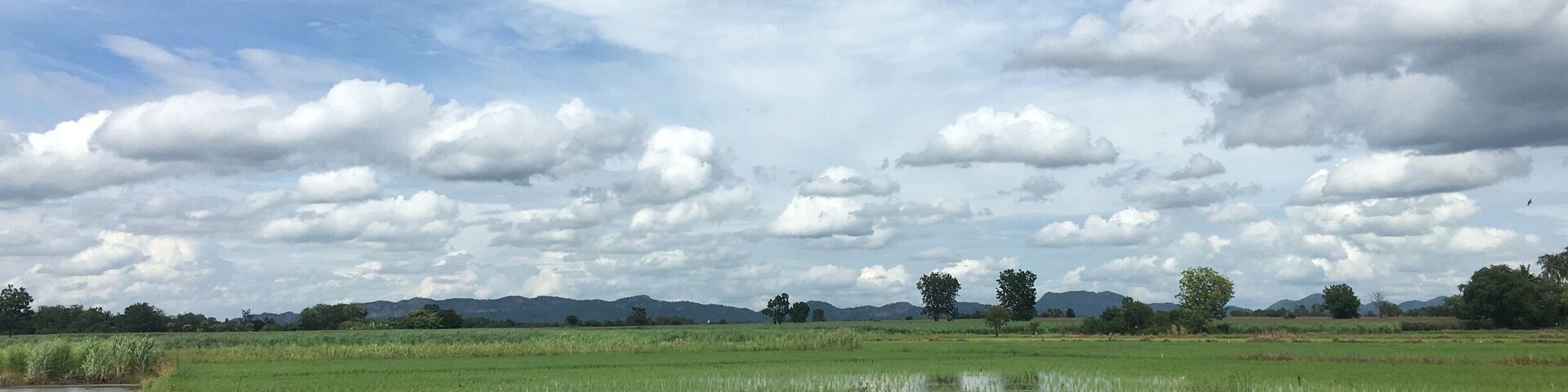 #OrbitzTravel ... farm in phetchabun province Thailand